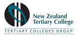 老师，我中专毕业，想申请NZTC的幼教课程，请问是先申请大专性价比高还是直接申请本科性价比高？