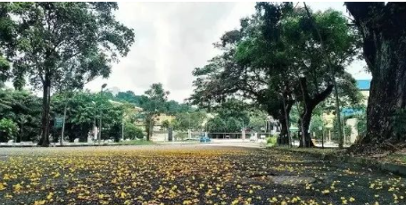 2025年留学马来西亚留学的优势及留学黄金建议！