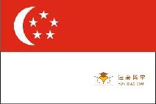 孩子小学毕业去新加坡读书，可以家长不陪读吗？